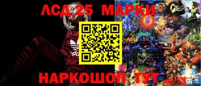 mdpv Кимры