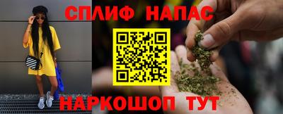 a pvp Кингисепп