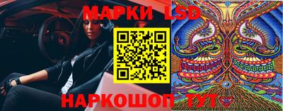 a pvp Кингисепп