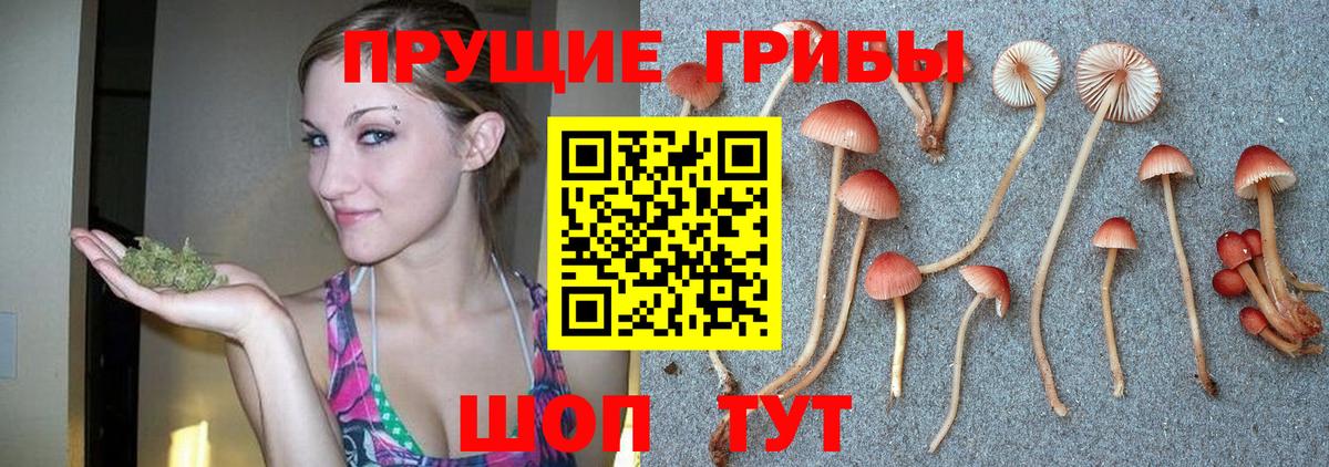 Краснодар  Галлюциногенные грибы ЛСД  Вход с VPN 